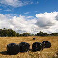 Película de agricultura soplada Film for Grass Package